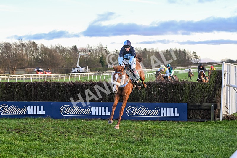 281224-Race 5-Poetry Man-4812 - Race 5