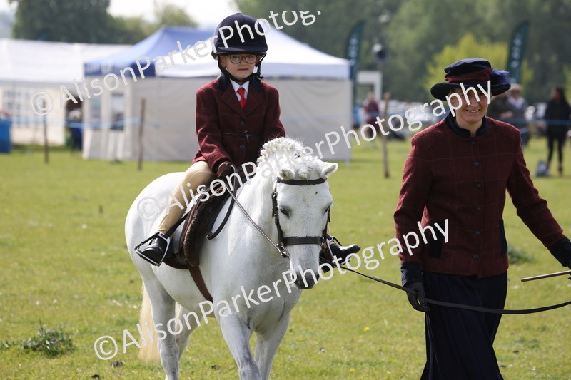 20260426-2556 - Class 31 - Leading Rein