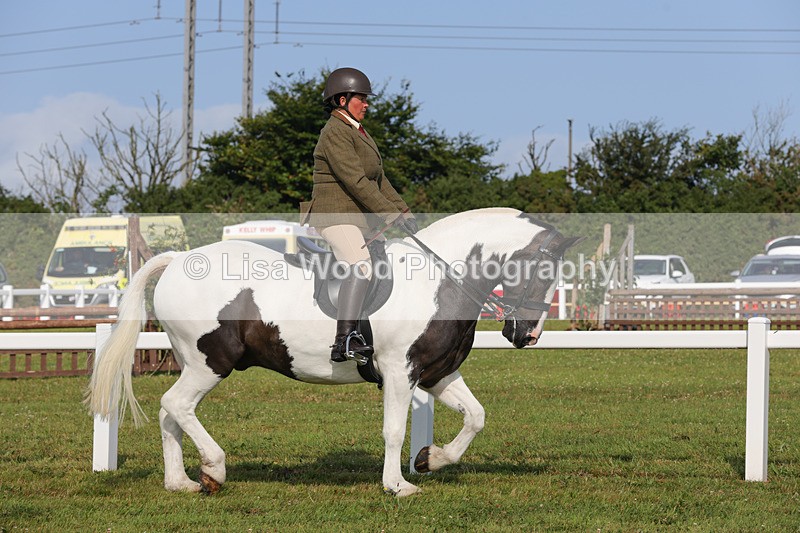 1X9A3208 - Class 28: Ridden Native/Trad Coloured Pony