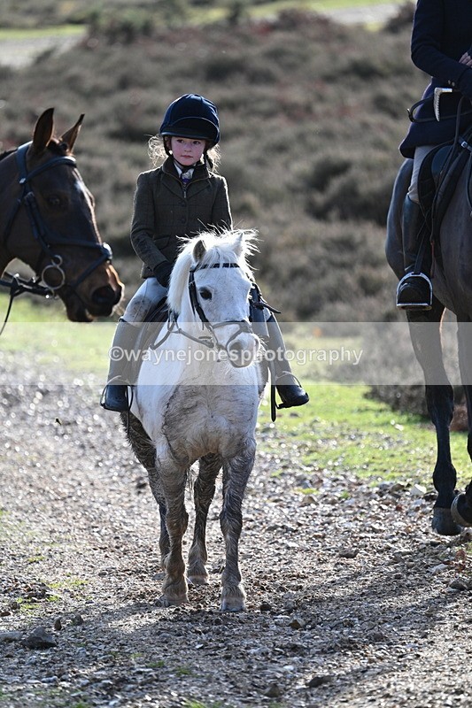 WJ7_8117 - Line 3 (no line 4 or 5)