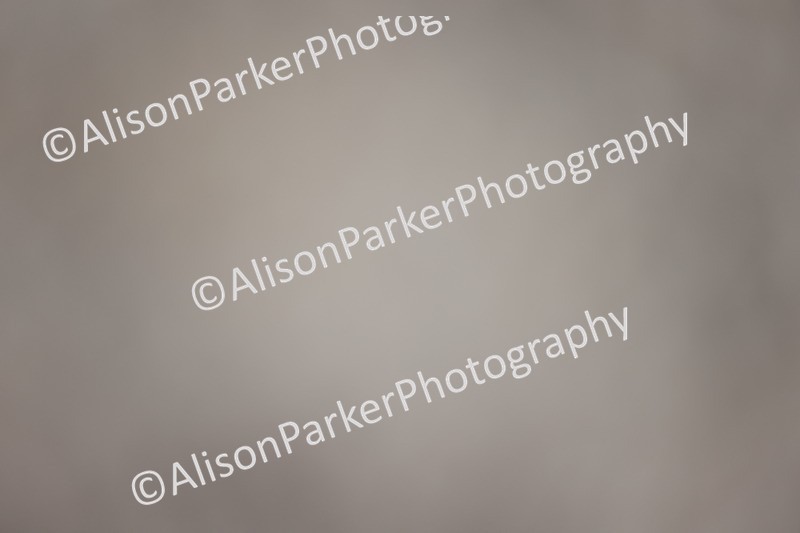 20251207-0160 - Class 1 - Prelim 5