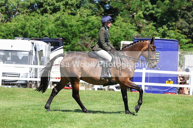 3E7A8966 - Class 6: Open Working Horse