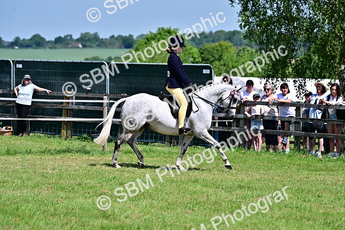 SBM_15264 - Class 95-97 - BSPS LHS Performance Ponies