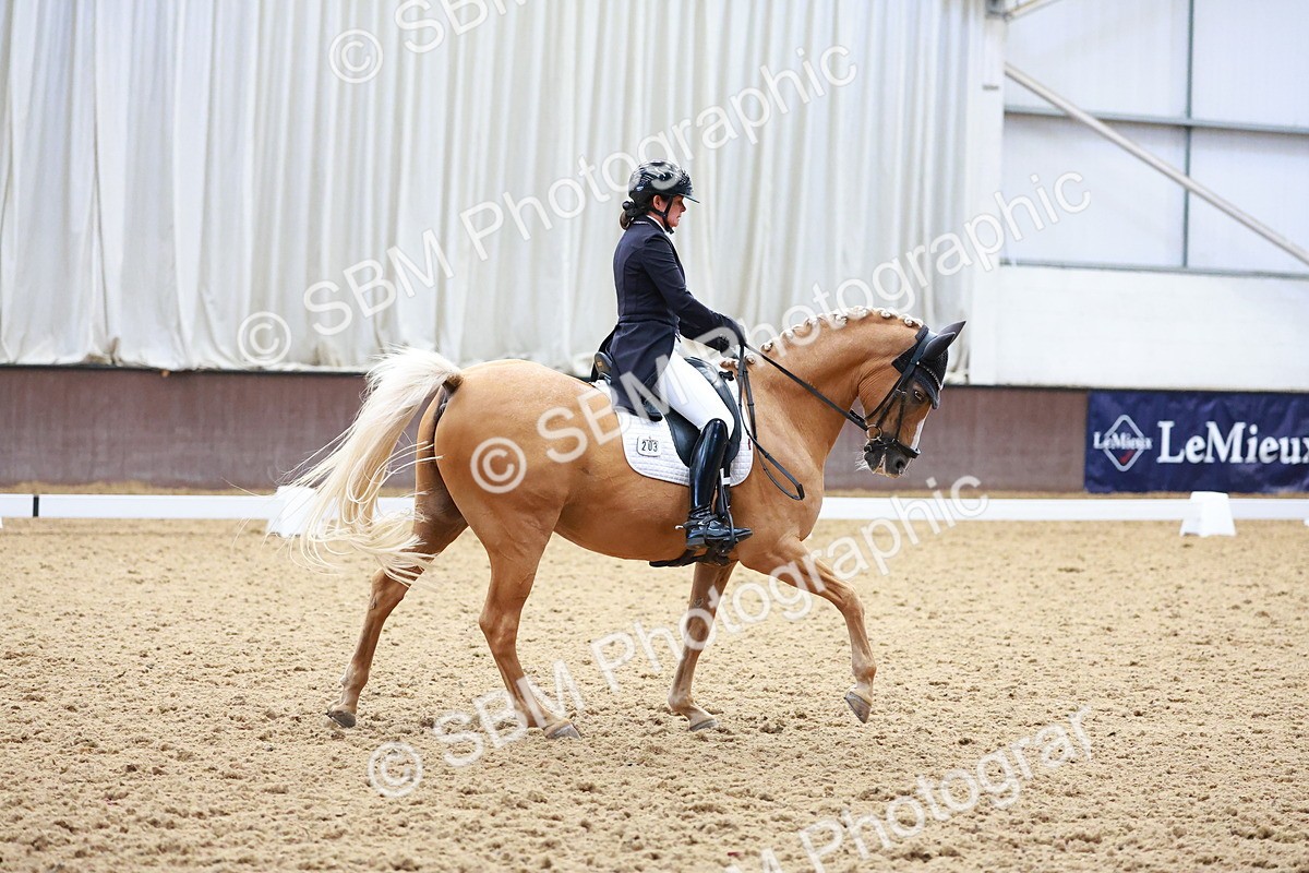 SBM_021296 - Class 25 - FEI PSG Bronze