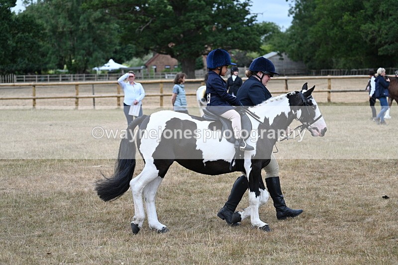 WJ7_6673 - Class 1 Lead Rein Pony