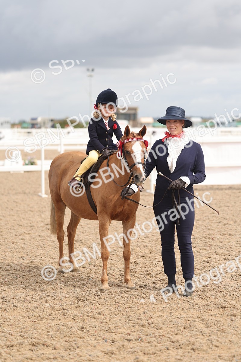 SBM_04550 - Class 19 - Horse/Pony Judge would most like to take home