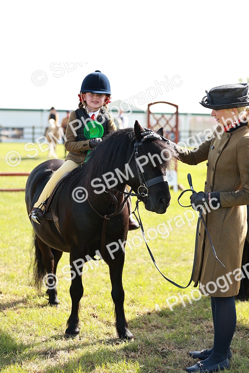 SBM_11317 - Class 106-107 - BSPS LIHS Working Sports Pony