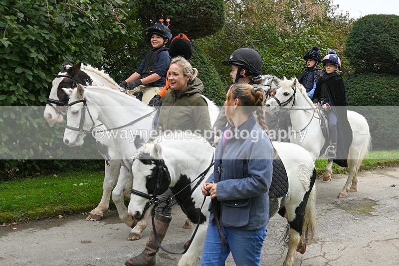 WJ7_6384 - Berks & Bucks - Children's Meet - The Old Farmhouse – Steventon.
