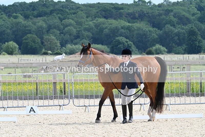 WJ7_8191 - Time 16:10 to 16:25