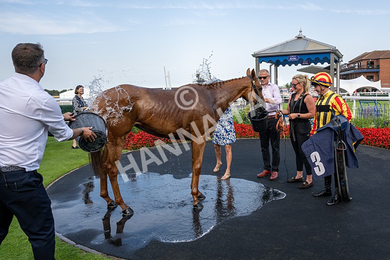 130826-Race 6-Saxon Grace-8636 - Race 6 16.45pm Racing Again On Saturday 29 August Handicap