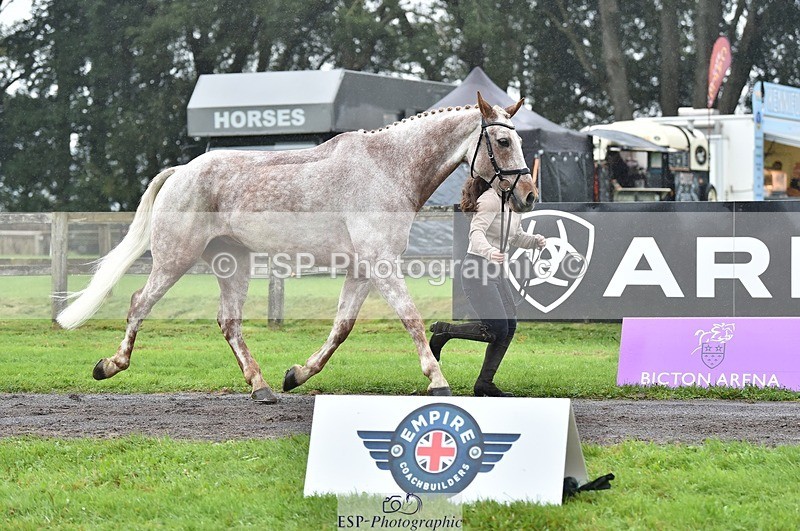 231018-122840-00322 - 038-IRISH.KONNECTION-Natasha.Anson-TrotUp