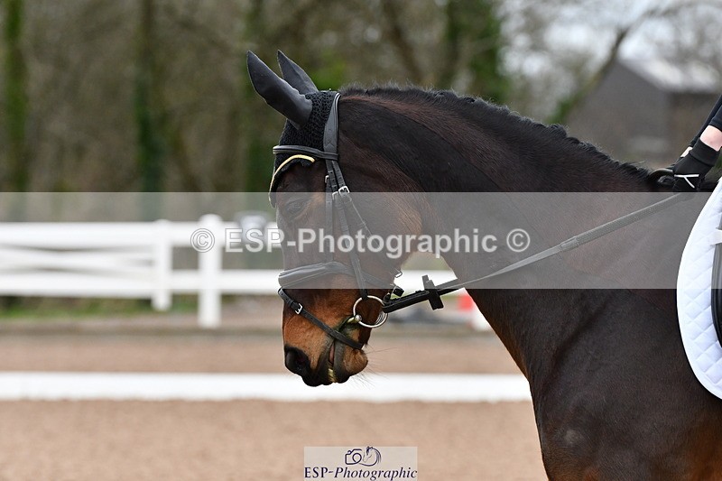 231217A-110605-00238 - Quest Classes