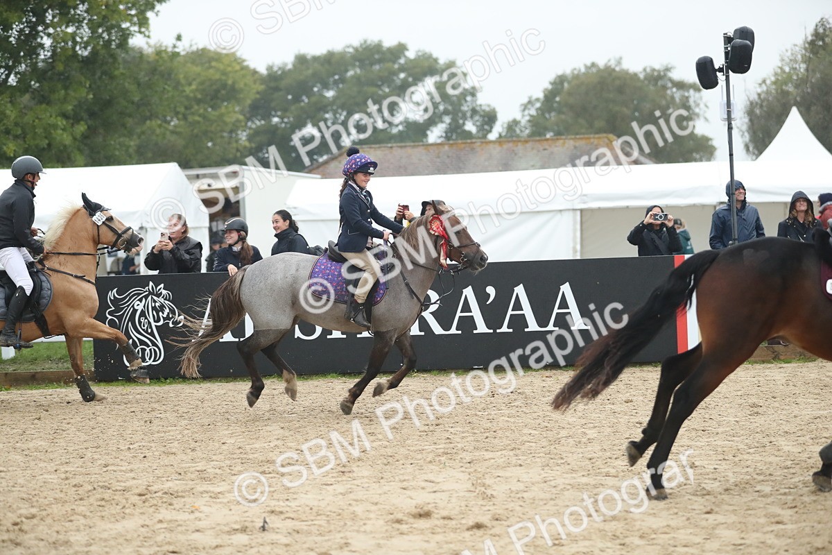 SBM_74351 - Supreme championship Junior Pony 70cm 75cm