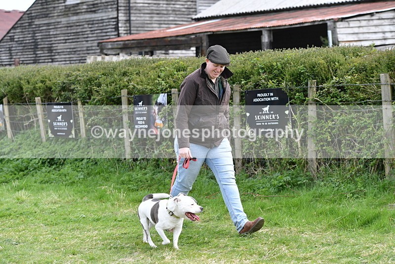 WJ5_9935 - Class 5 Best Veteran / 7 years & over