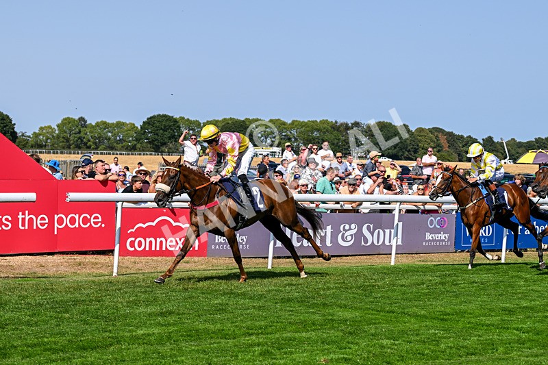 130826-Race 3-State Of Gold-8782 - Race 3 15.15pm Hornsea Ladies At The Races Nursery Handicap