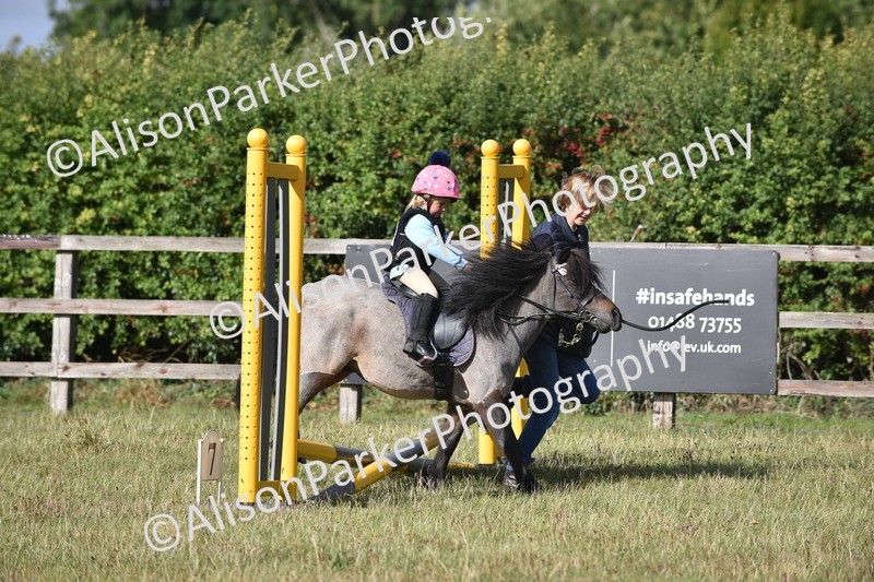 20250831-0378 - Class 6 - Minimus Jumping 30cm