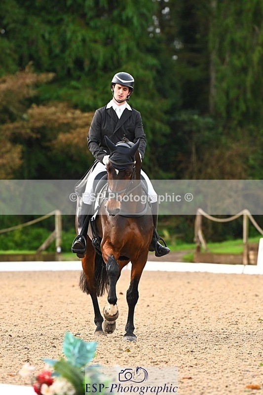 231021-091640-12813 - 324-HAZZLE.DAZZLE-Henry.Hobby-DR