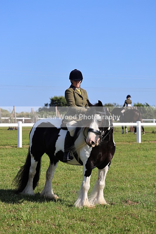 IMG_1536 - Class 30: Ridden Native/Trad Coloured Pony