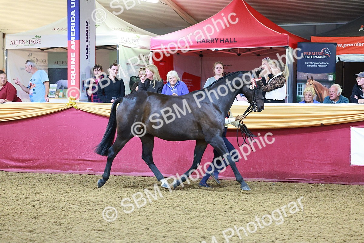 SBM_14951
