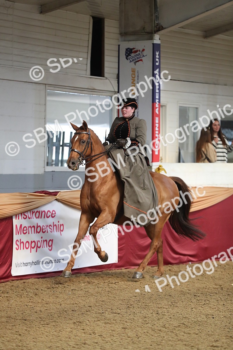 SBM_11589 - Class 105 Ridden Costume- Side Saddle
