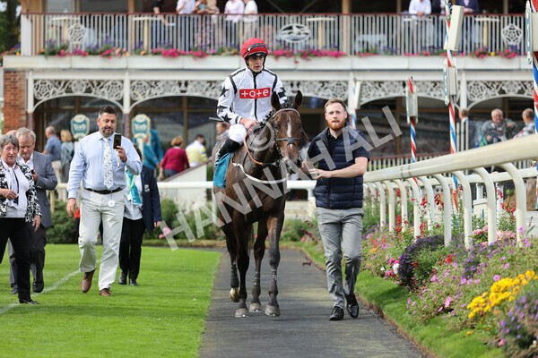 yr04092022r4-28 - Race 4 3.30pm Federation of Bloodstock Agents Nursery Handicap