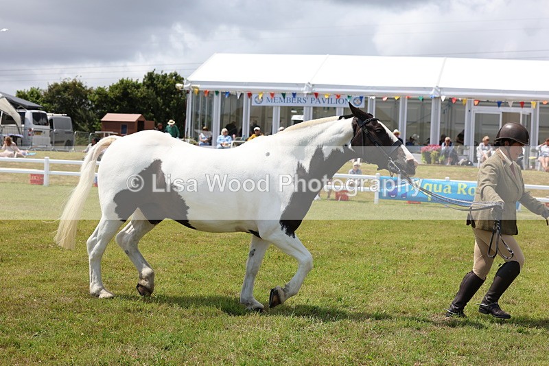 3E7A2209 - Class 10: Open Cob