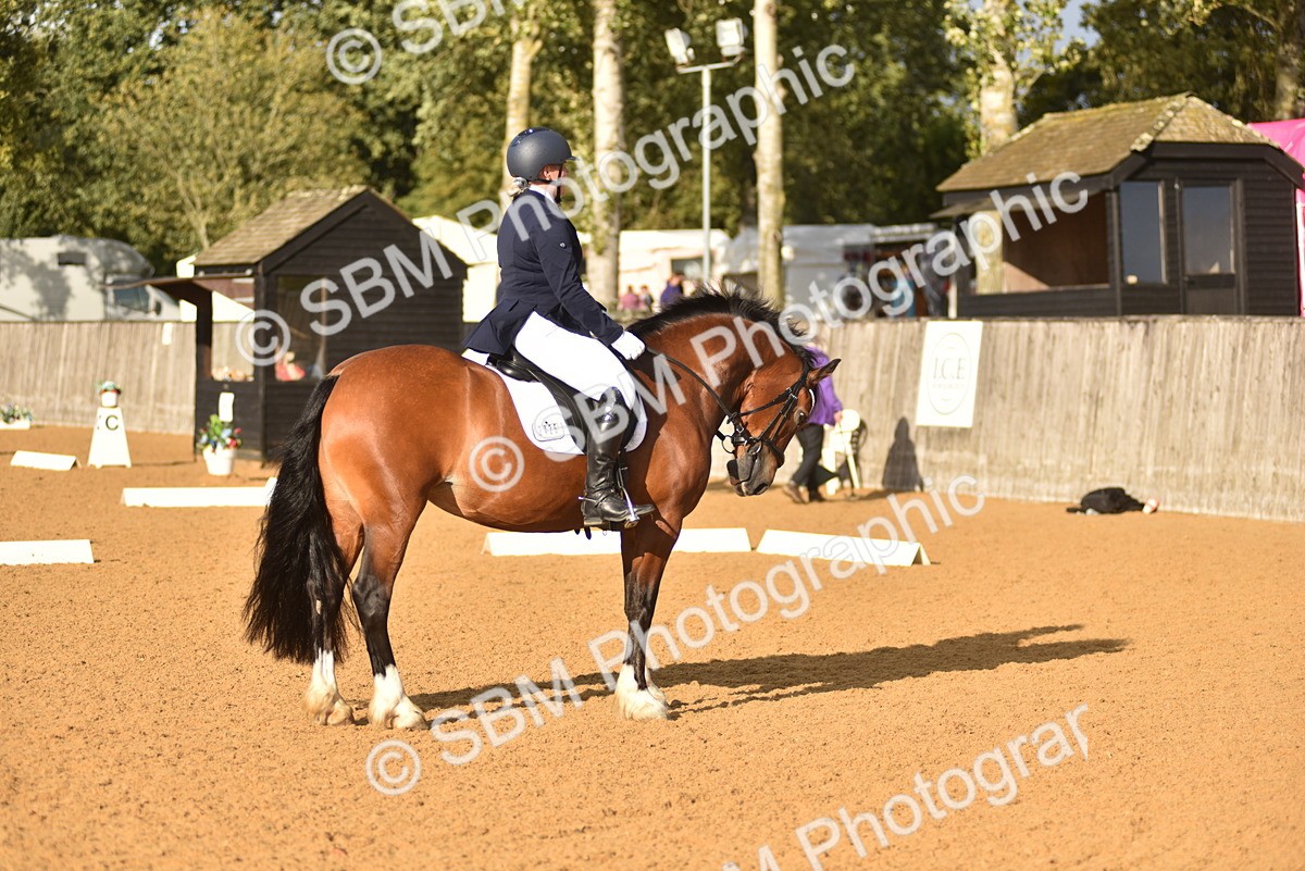 SBM_29666 - D16 -Small Tour Championship Novice 2
