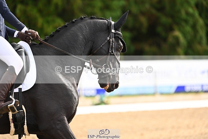 231021-140112-18607 - 249-GRANIT.DES.IRIS-lily.brennan-DR