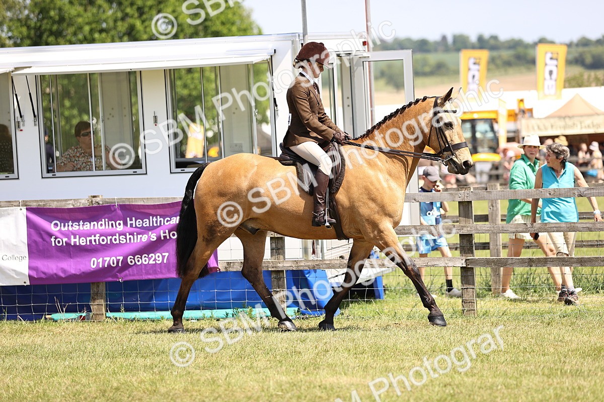 SBM_15035 - Class 79-80 - LIHS BSHA Rising Star Ridden Hunter