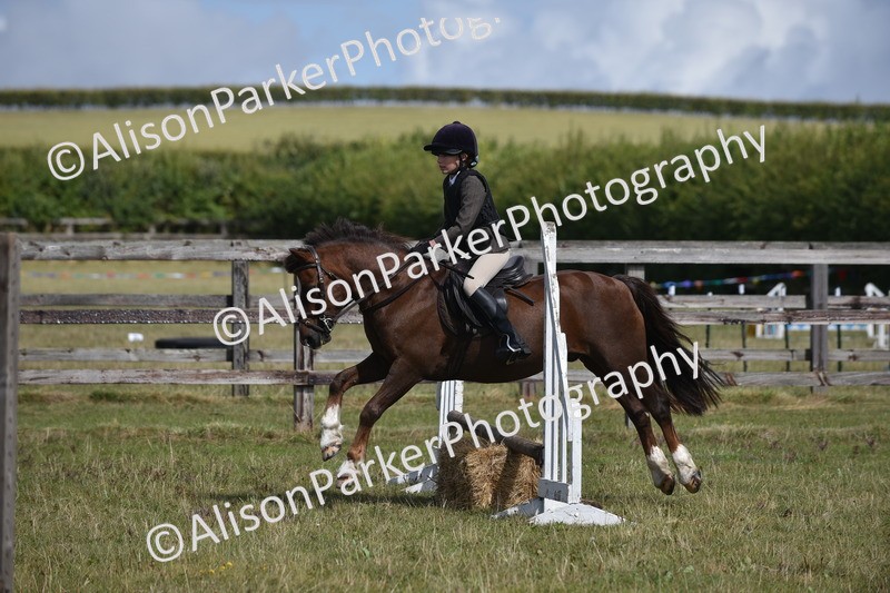 20250831-3921 - Class 11 - Working Hunter Pony 13hh and Under