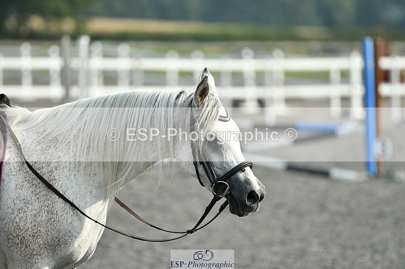 230817-094432-00237 - Theo's 1st Group - Arena