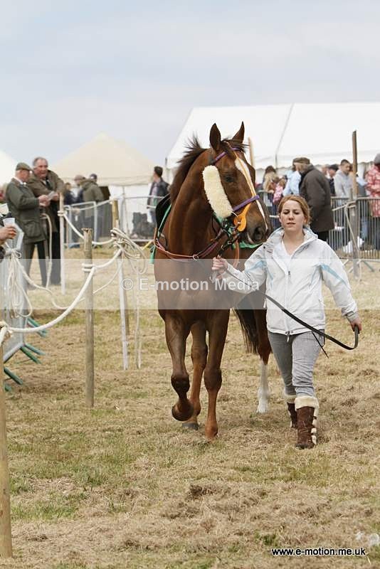  GRD 030510 27 - Guernsey Race Day 03/05/10