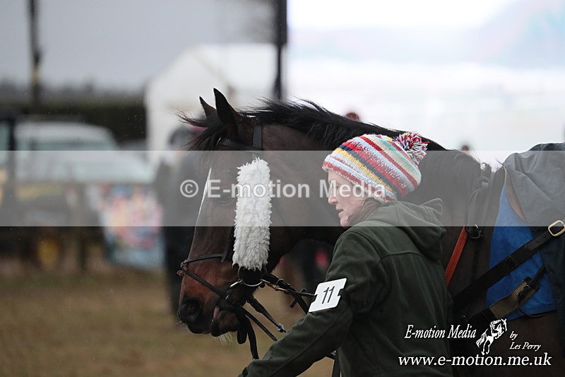 PtP 260125 981 - Cocklebarrow Point-to-Point racing with the Heythrop Hunt 26/01/25