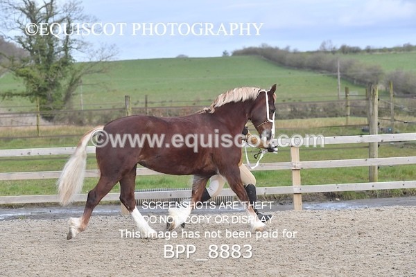 BPP_8883 - RING 2 - M&M