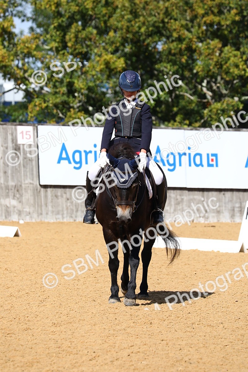 SBM_20795 - D5 - Small Tour Championshop Intro 2