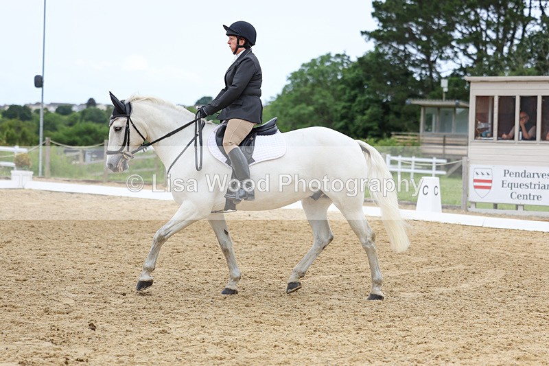 3E7A9504 - Class 2: Intro 1 2024 Section B