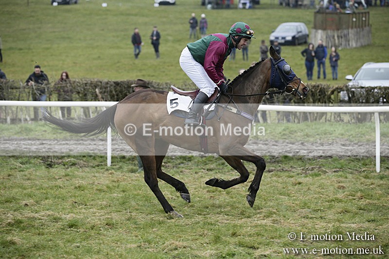PtP 020418 -27 - Old Berks Point-to-Point Races Easter Monday 02/04/18