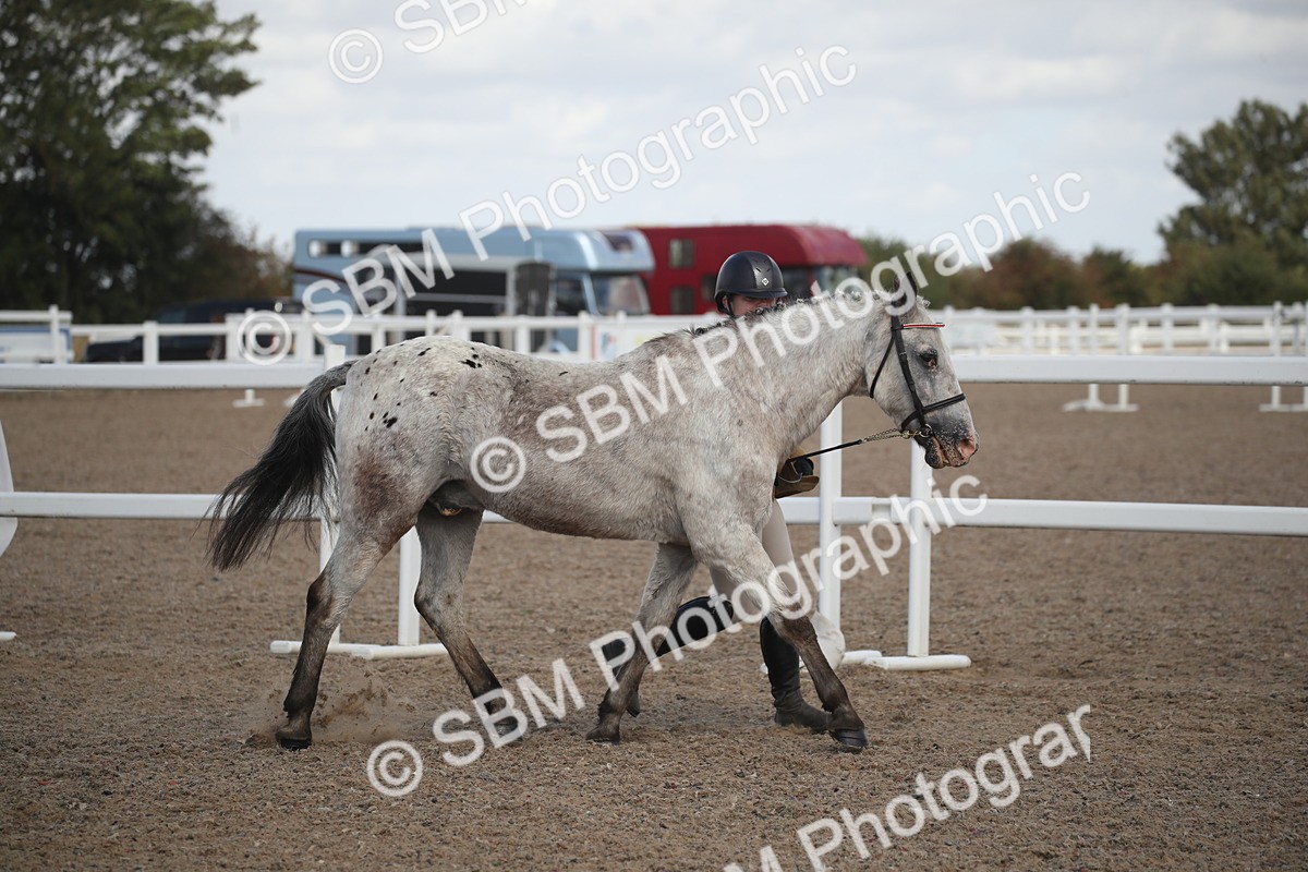 SBM_23505 - Class 604 - 2026 - Area IH Diamond