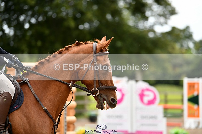 240825X-172128-37017 - 80cm SJ 16.00 to 17.26