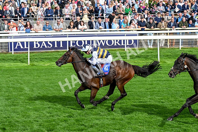 190826-Race 5-Small Fry-0674 - Race 5 16.10pm Sky Bet Stayers Handicap