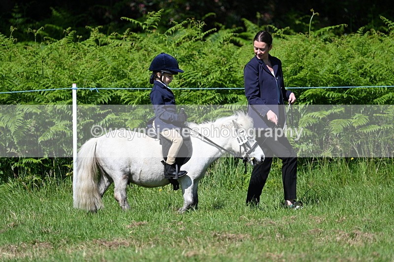 WJ7_0675 - Class 8 First Rally Pony