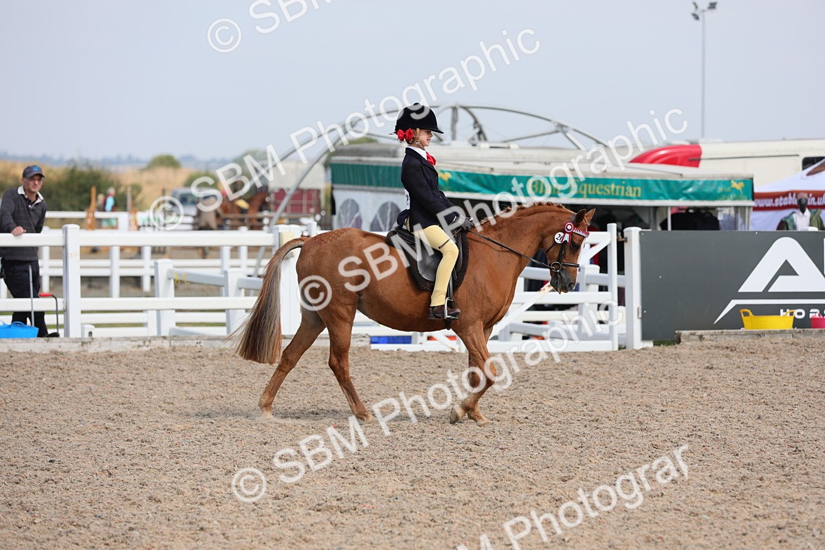 SBM_14677 - Class 310 First Ridden Pony