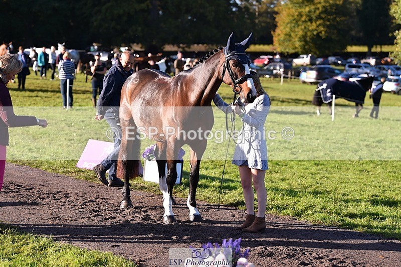 231022-095044-22067 - 449-INDI-Grace.Gillard-TrotUp+SJ