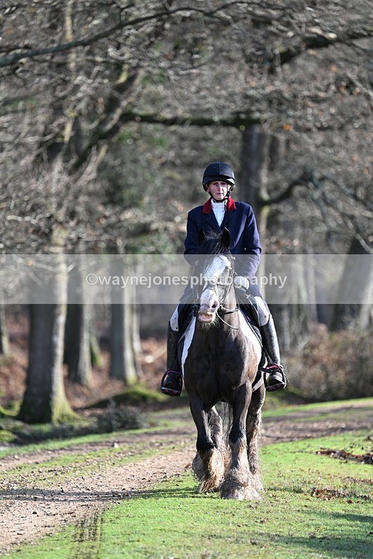 WJ7_7789 - Line 3 (no line 4 or 5)