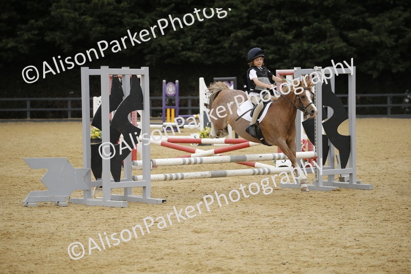 20250622-6140 - 60cm