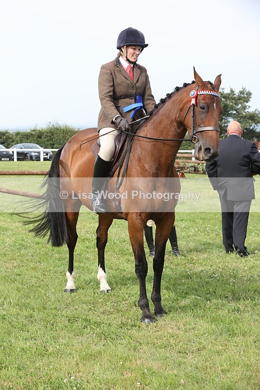 JPP_4330 - Class 25: Working Show Horse