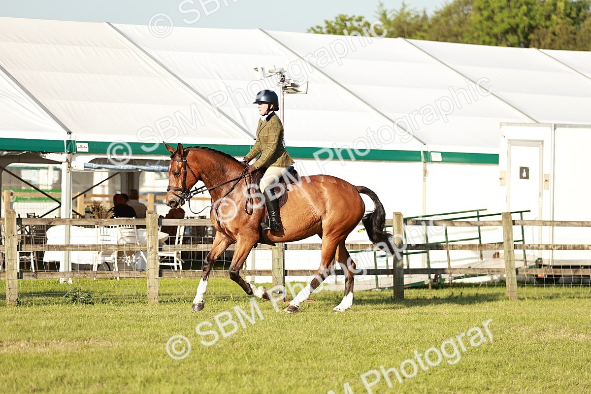 SBM_20478 - Class 117-119 - Sport Horse Working Hunter