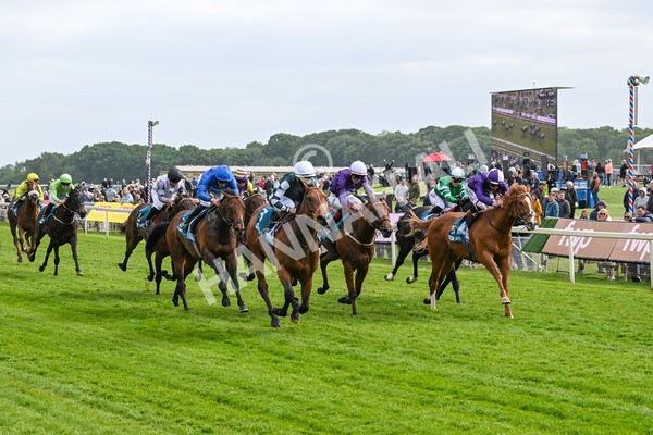 150525-First Legion-5156 - Race 6 4.55pm Frank Whittle Partnership ebfstallions.com Novice Stakes