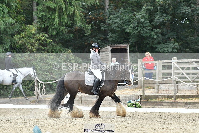 260801A-121832-03880 - Prelim SIlver Break - End