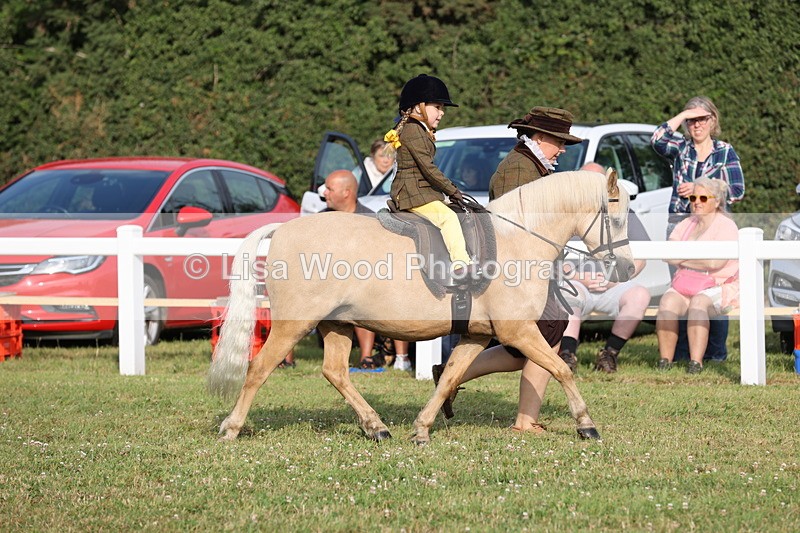 JPP_0266 - Class 14: Cornish Combination Leading Rein